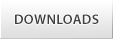 Downloads Button